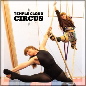 Aerial Circus Therapy